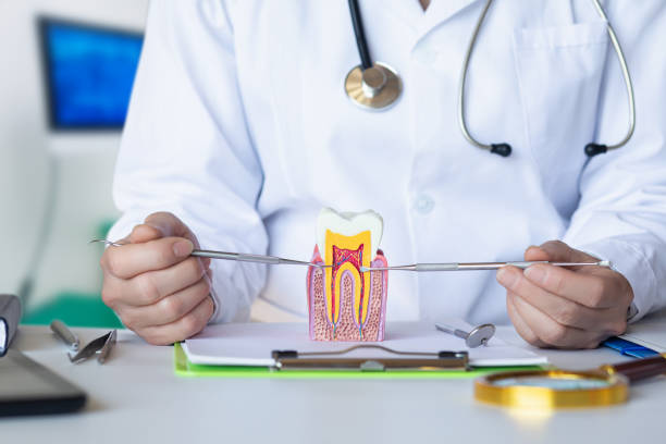 Best Emergency Treatment for Dental Infections or Abscesses in College, AK